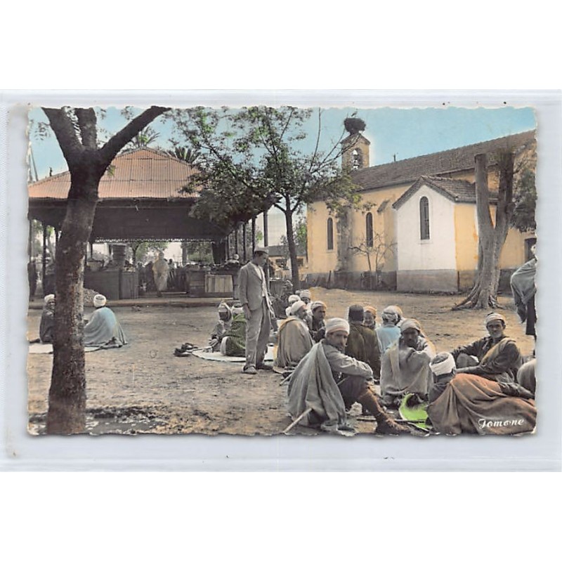Rare collectable postcards of ALGERIA. Vintage Postcards of ALGERIA