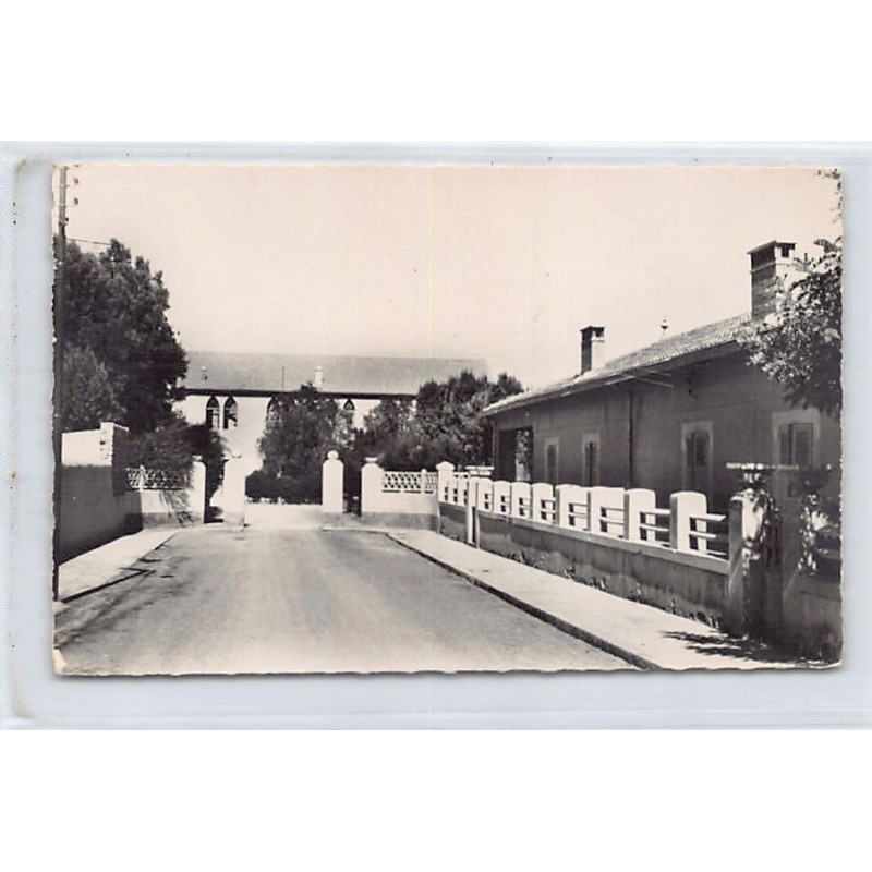 Rare collectable postcards of ALGERIA. Vintage Postcards of ALGERIA