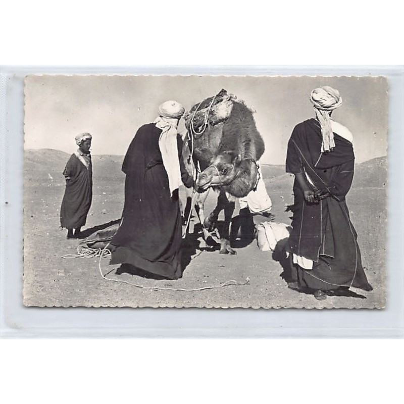 Rare collectable postcards of ALGERIA. Vintage Postcards of ALGERIA
