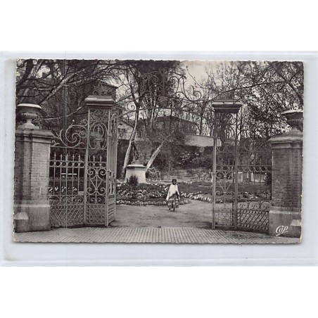 Rare collectable postcards of ALGERIA. Vintage Postcards of ALGERIA