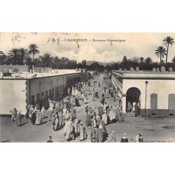 Rare collectable postcards of ALGERIA. Vintage Postcards of ALGERIA