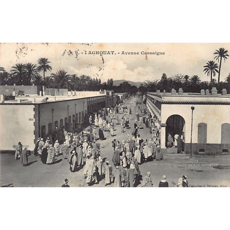 Rare collectable postcards of ALGERIA. Vintage Postcards of ALGERIA