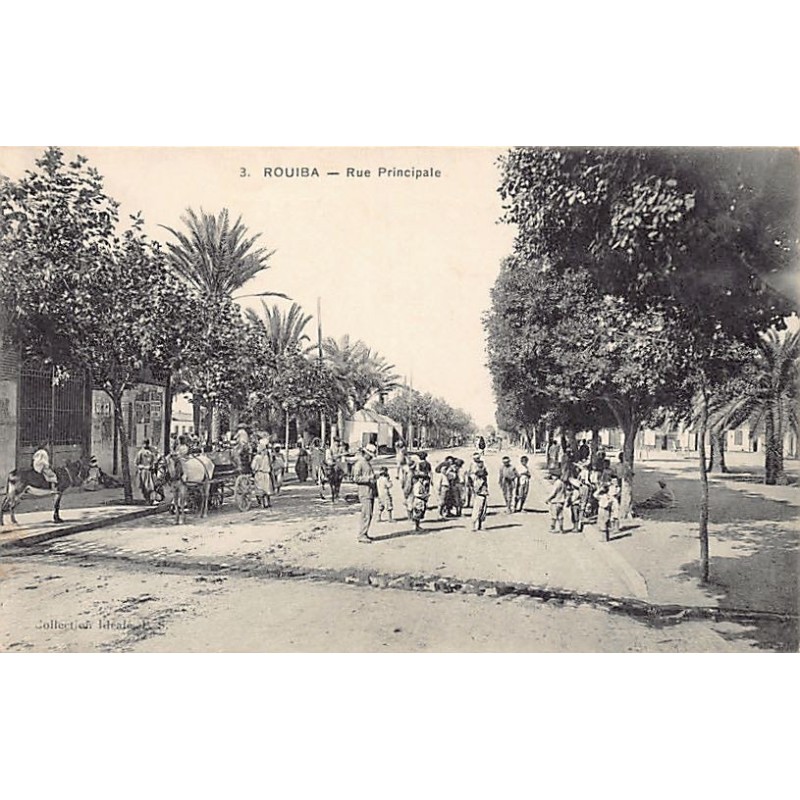 Rare collectable postcards of ALGERIA. Vintage Postcards of ALGERIA