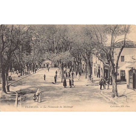 Rare collectable postcards of ALGERIA. Vintage Postcards of ALGERIA