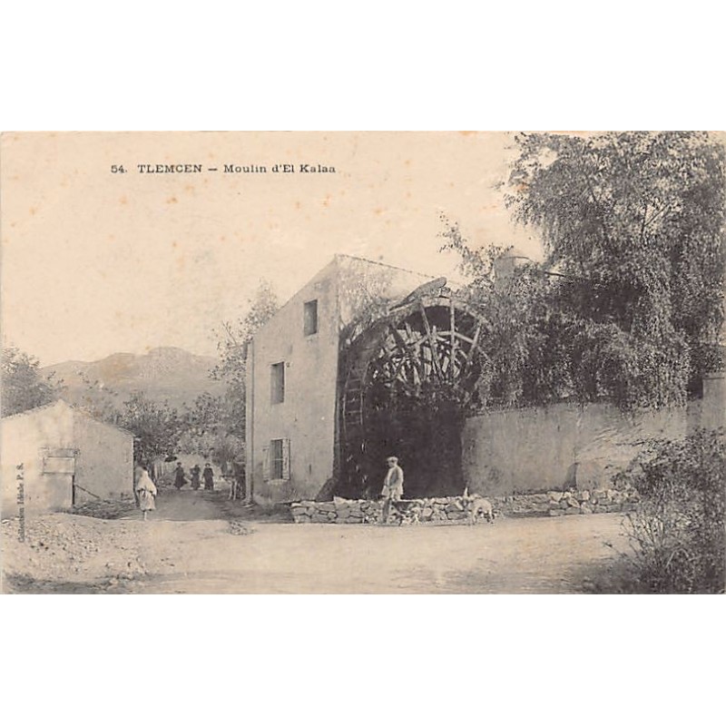Rare collectable postcards of ALGERIA. Vintage Postcards of ALGERIA