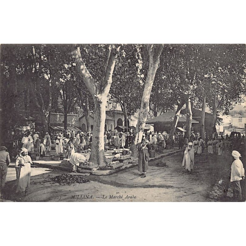 Rare collectable postcards of ALGERIA. Vintage Postcards of ALGERIA