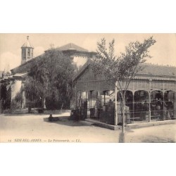 Rare collectable postcards of ALGERIA. Vintage Postcards of ALGERIA