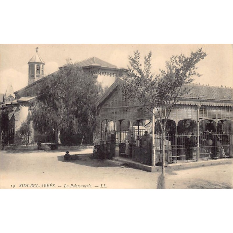 Rare collectable postcards of ALGERIA. Vintage Postcards of ALGERIA