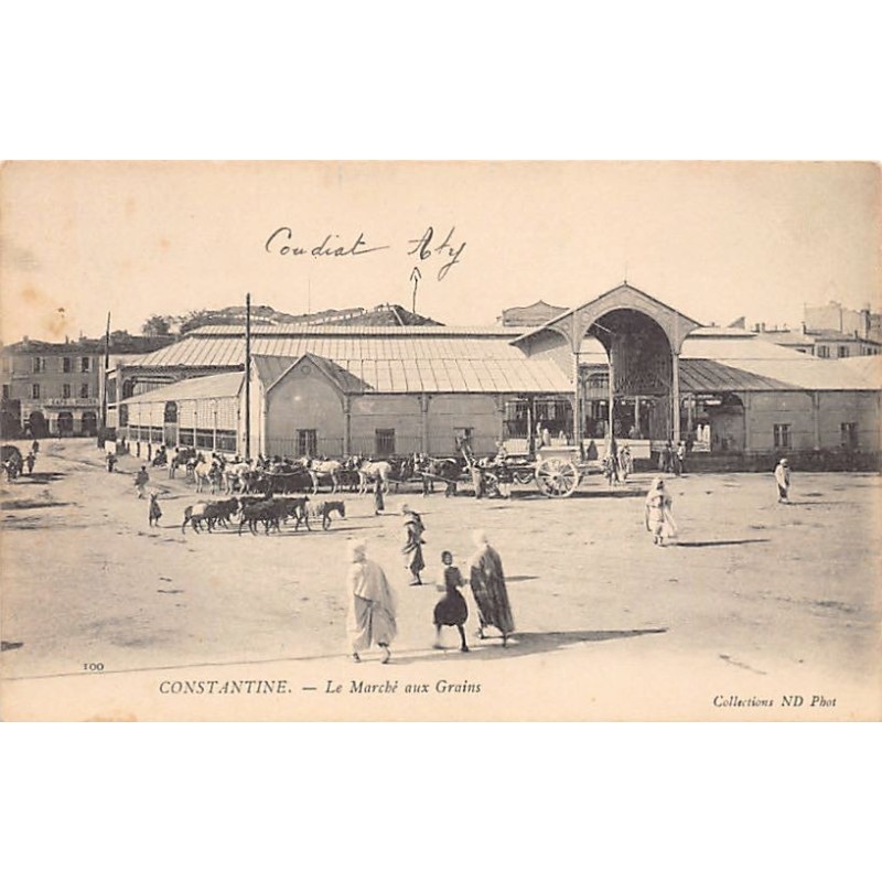 Rare collectable postcards of ALGERIA. Vintage Postcards of ALGERIA