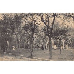 Rare collectable postcards of ALGERIA. Vintage Postcards of ALGERIA