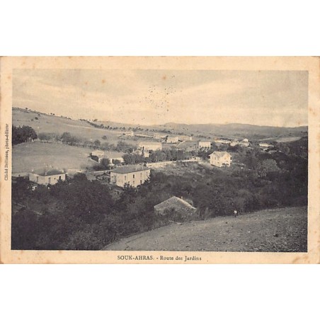 Rare collectable postcards of ALGERIA. Vintage Postcards of ALGERIA