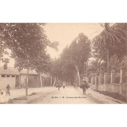 Rare collectable postcards of ALGERIA. Vintage Postcards of ALGERIA