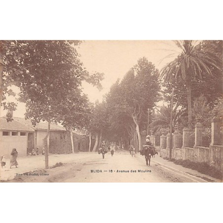 Rare collectable postcards of ALGERIA. Vintage Postcards of ALGERIA