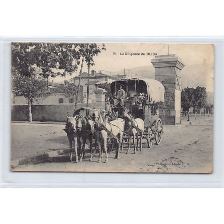 Rare collectable postcards of ALGERIA. Vintage Postcards of ALGERIA