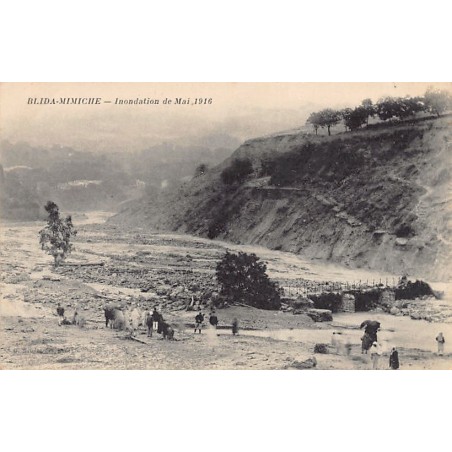 Rare collectable postcards of ALGERIA. Vintage Postcards of ALGERIA