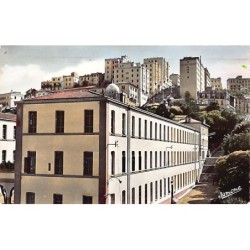 Rare collectable postcards of ALGERIA. Vintage Postcards of ALGERIA