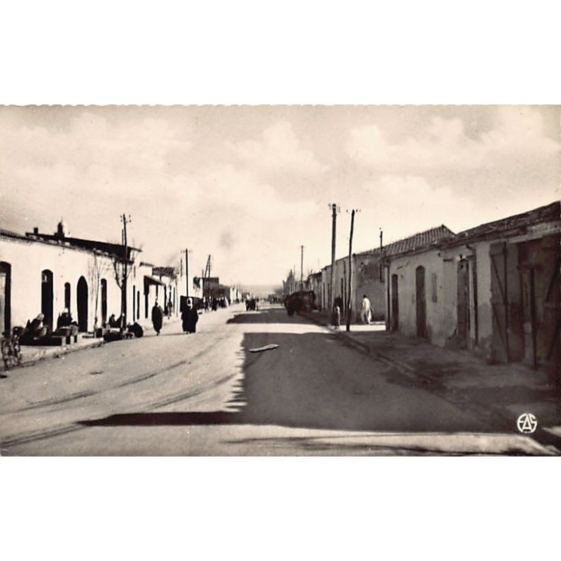 Rare collectable postcards of ALGERIA. Vintage Postcards of ALGERIA