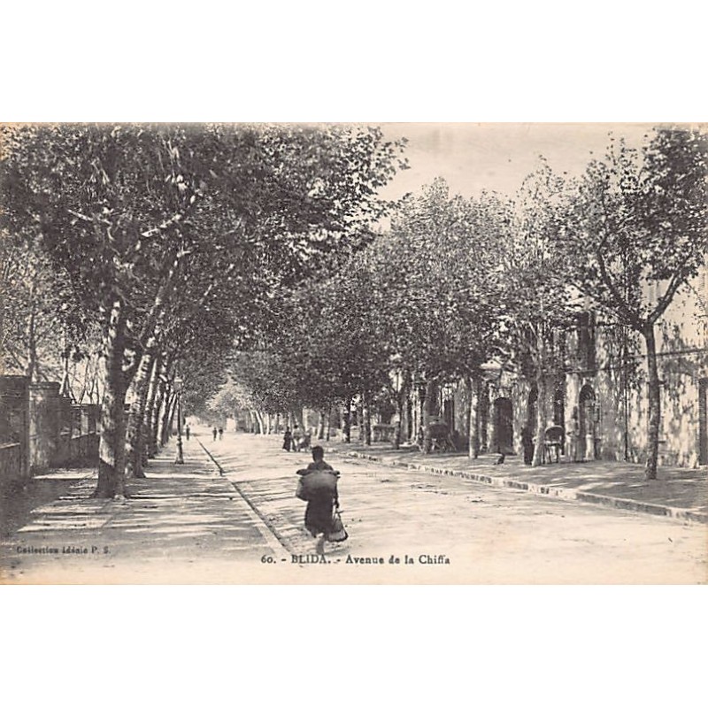 Rare collectable postcards of ALGERIA. Vintage Postcards of ALGERIA