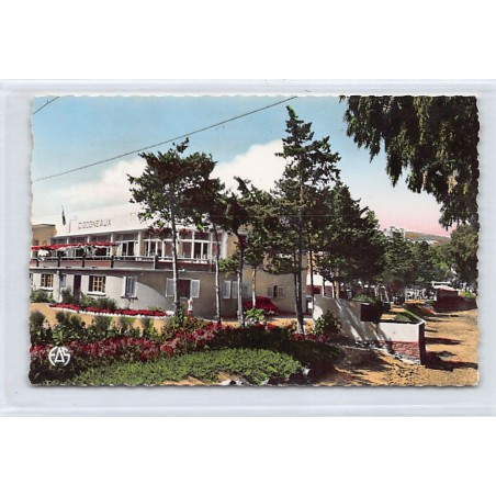 Rare collectable postcards of ALGERIA. Vintage Postcards of ALGERIA