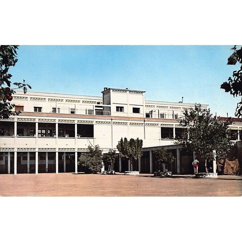 Rare collectable postcards of ALGERIA. Vintage Postcards of ALGERIA