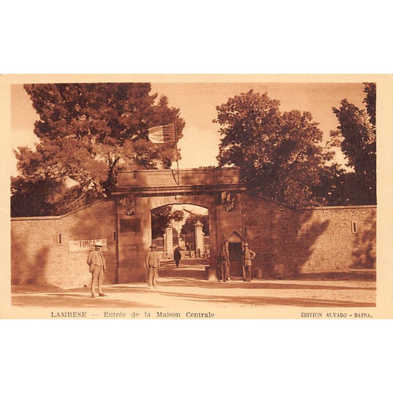 Rare collectable postcards of ALGERIA. Vintage Postcards of ALGERIA