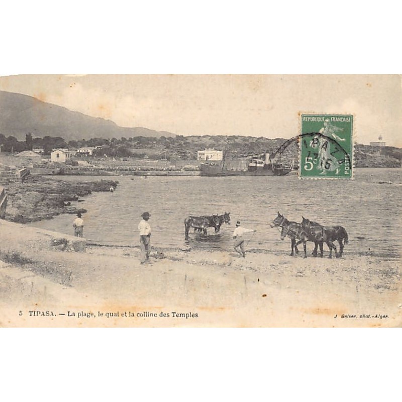 Rare collectable postcards of ALGERIA. Vintage Postcards of ALGERIA