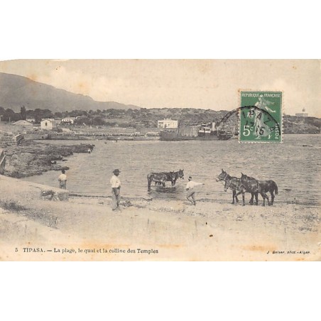 Rare collectable postcards of ALGERIA. Vintage Postcards of ALGERIA