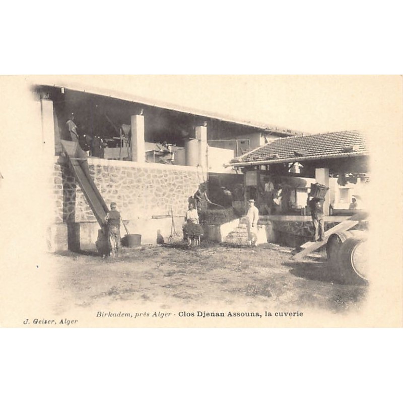 Rare collectable postcards of ALGERIA. Vintage Postcards of ALGERIA