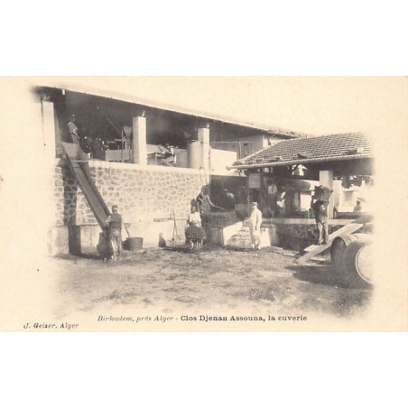 Rare collectable postcards of ALGERIA. Vintage Postcards of ALGERIA