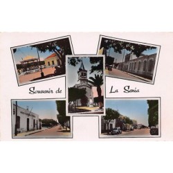 Rare collectable postcards of ALGERIA. Vintage Postcards of ALGERIA
