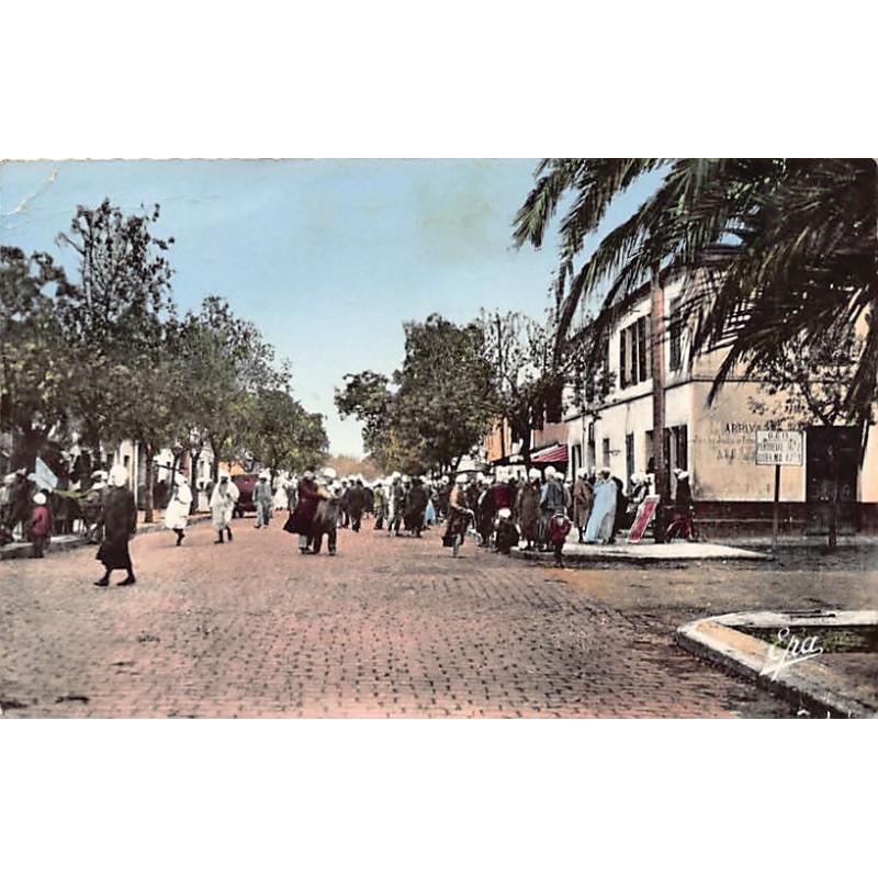Rare collectable postcards of ALGERIA. Vintage Postcards of ALGERIA