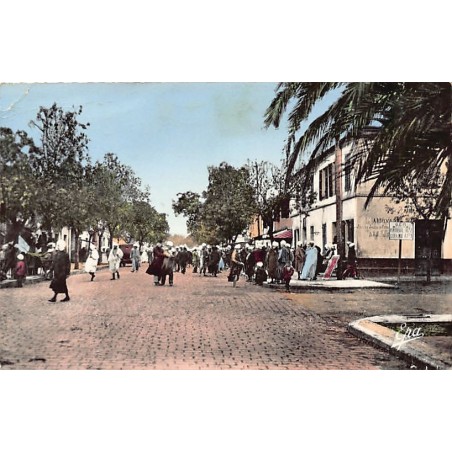 Rare collectable postcards of ALGERIA. Vintage Postcards of ALGERIA