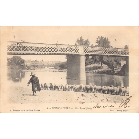 Rare collectable postcards of ALGERIA. Vintage Postcards of ALGERIA