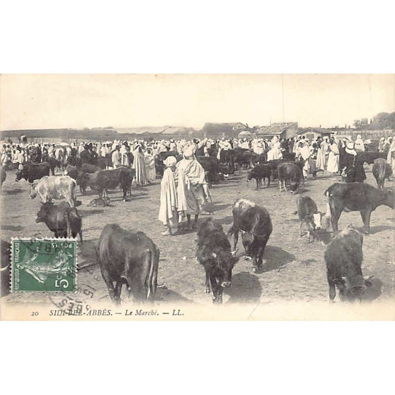 Rare collectable postcards of ALGERIA. Vintage Postcards of ALGERIA