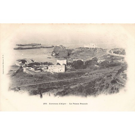 Rare collectable postcards of ALGERIA. Vintage Postcards of ALGERIA