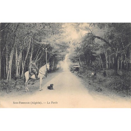 Rare collectable postcards of ALGERIA. Vintage Postcards of ALGERIA
