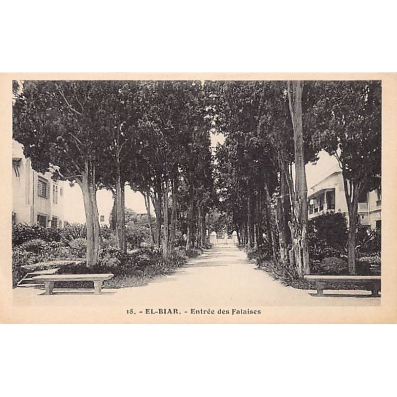 Rare collectable postcards of ALGERIA. Vintage Postcards of ALGERIA