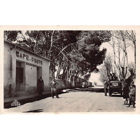 Rare collectable postcards of ALGERIA. Vintage Postcards of ALGERIA