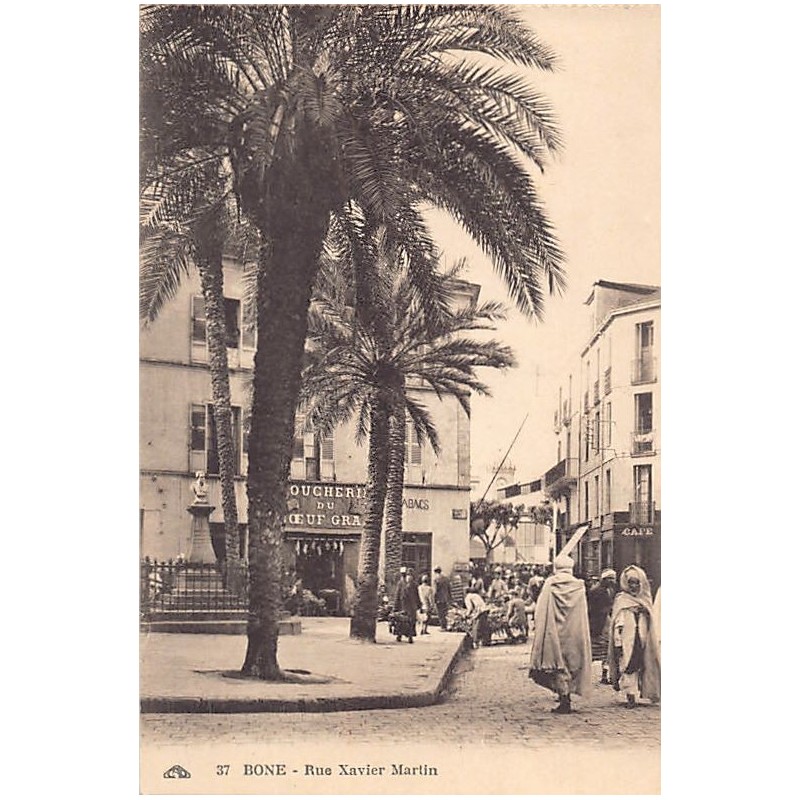 Rare collectable postcards of ALGERIA. Vintage Postcards of ALGERIA