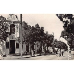 Rare collectable postcards of ALGERIA. Vintage Postcards of ALGERIA
