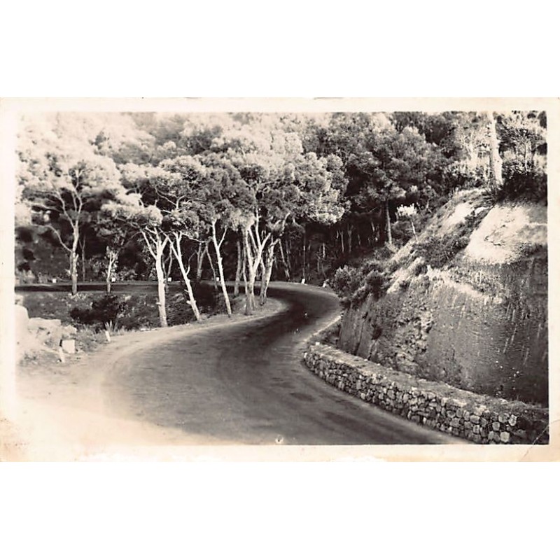 Rare collectable postcards of ALGERIA. Vintage Postcards of ALGERIA