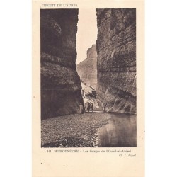 Rare collectable postcards of ALGERIA. Vintage Postcards of ALGERIA