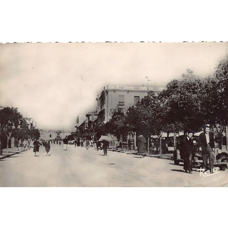 Rare collectable postcards of ALGERIA. Vintage Postcards of ALGERIA