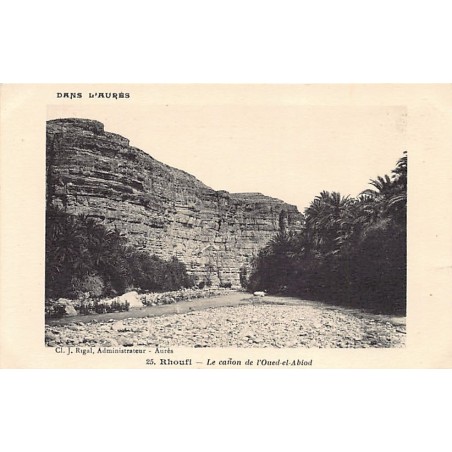 Rare collectable postcards of ALGERIA. Vintage Postcards of ALGERIA