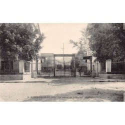 Rare collectable postcards of ALGERIA. Vintage Postcards of ALGERIA