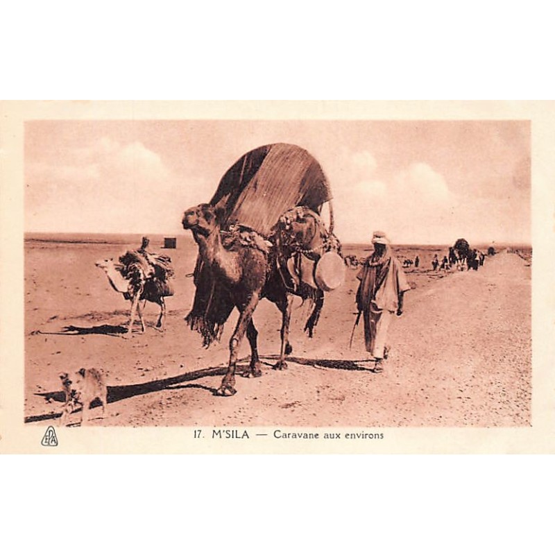 Rare collectable postcards of ALGERIA. Vintage Postcards of ALGERIA