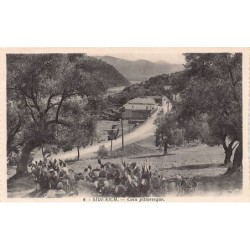 Rare collectable postcards of ALGERIA. Vintage Postcards of ALGERIA