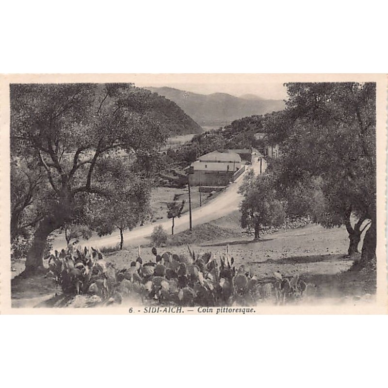 Rare collectable postcards of ALGERIA. Vintage Postcards of ALGERIA