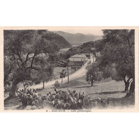 Rare collectable postcards of ALGERIA. Vintage Postcards of ALGERIA