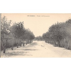 Rare collectable postcards of ALGERIA. Vintage Postcards of ALGERIA
